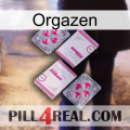 Orgazen 33